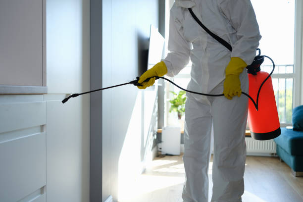 Best Organic or Eco-Friendly Pest Control  in USA